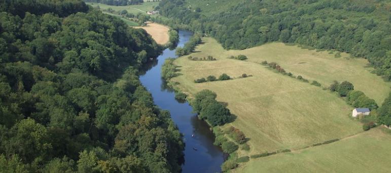 Forest of Dean